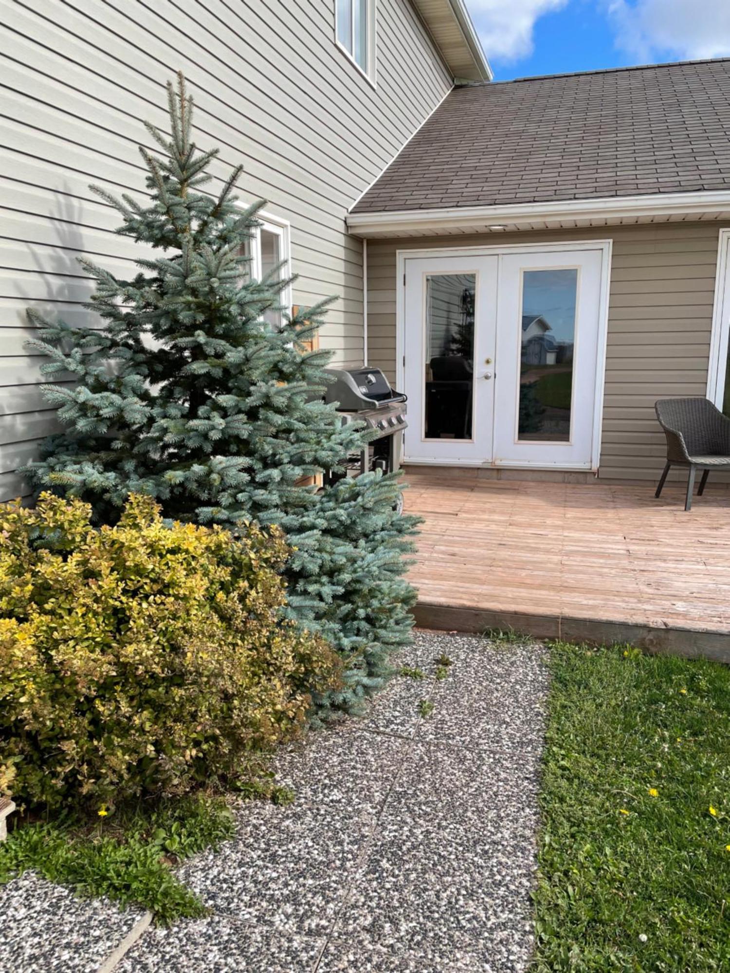 Pei Cottage Rental Borden-Carleton Exterior photo